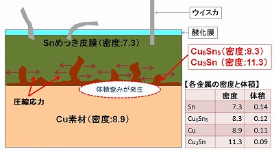 ウイスカー対策