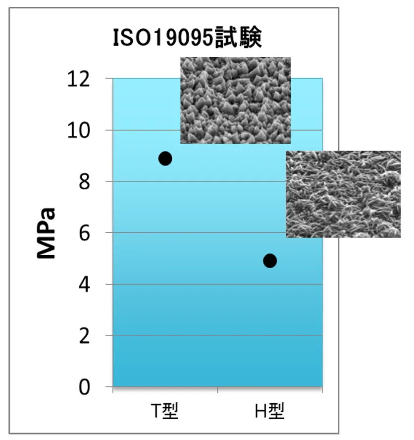 ISO19095試験